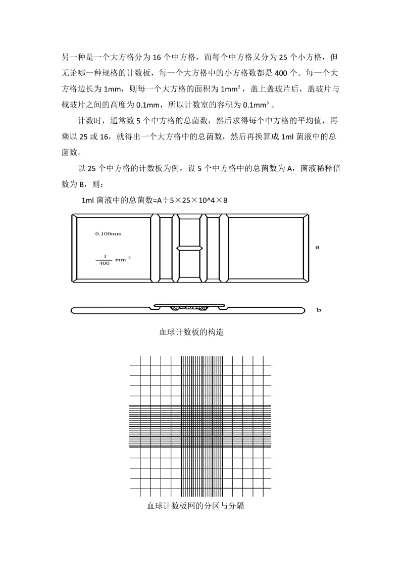 微生物大小及数量的测定.doc_第3页