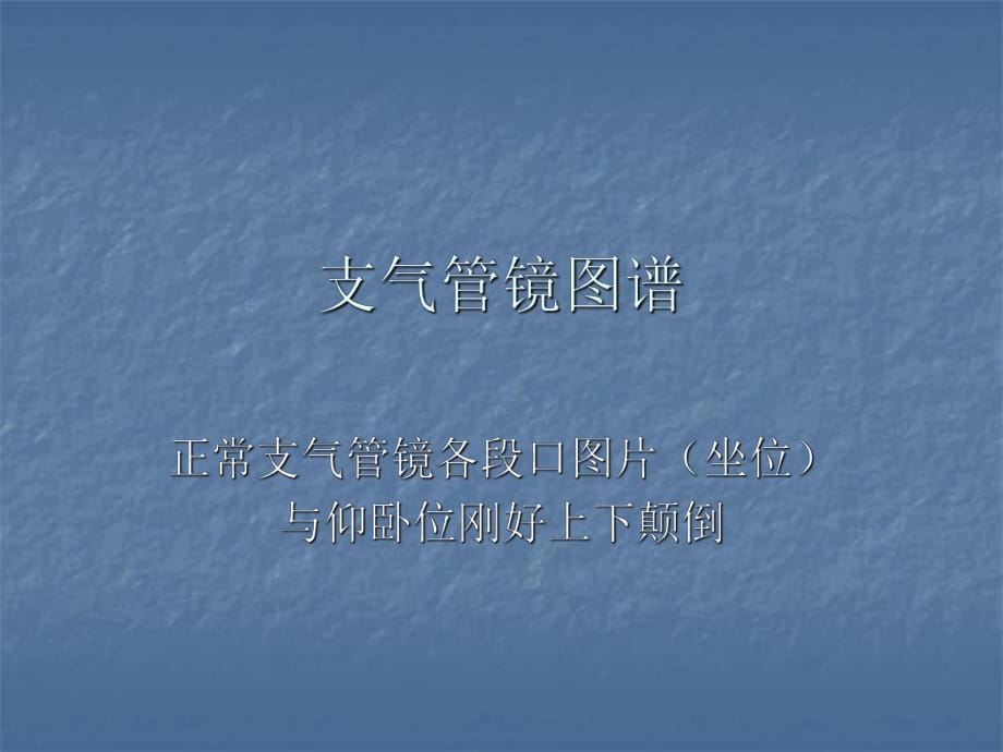 支氣管鏡圖譜.ppt_第1頁