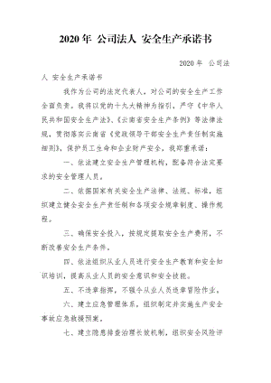 2020年 公司法人 安全生產(chǎn)承諾書