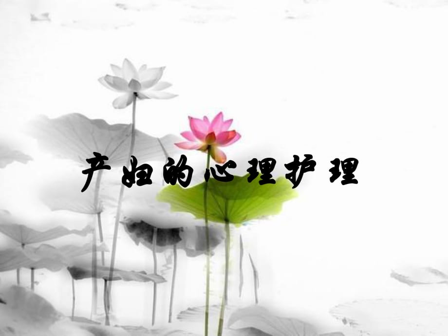 產(chǎn)婦心理護(hù)理 PPT課件.ppt_第1頁(yè)