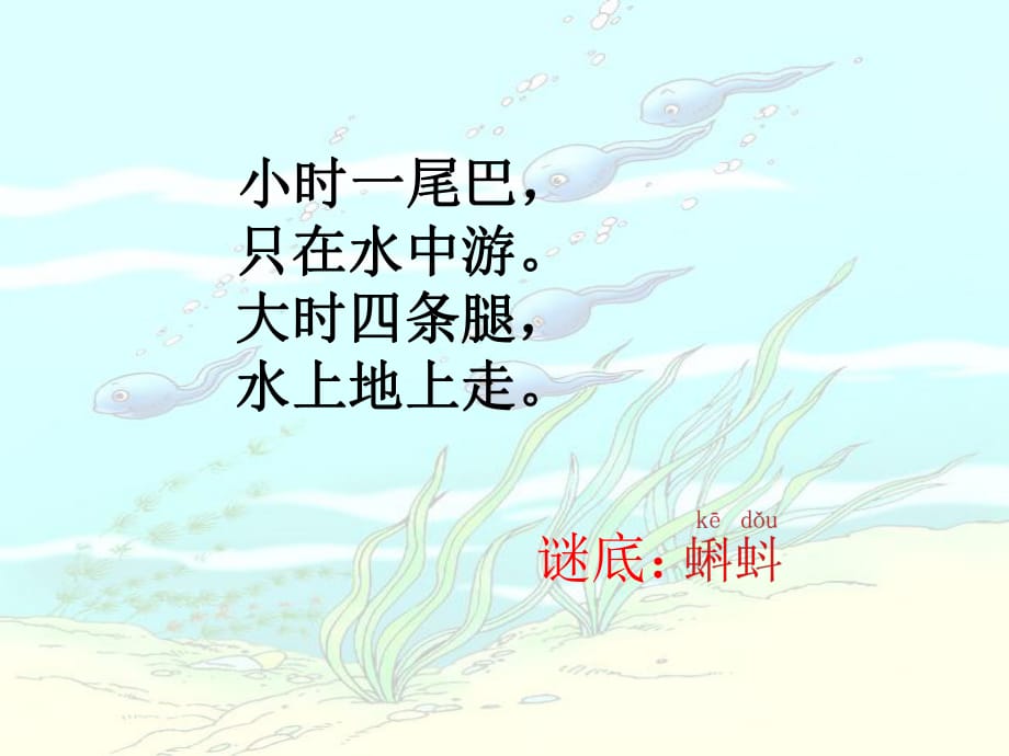 小蝌蚪找妈妈课件.ppt_第1页