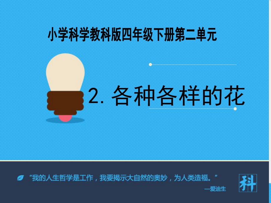 《各種各樣的花》課件.ppt_第1頁