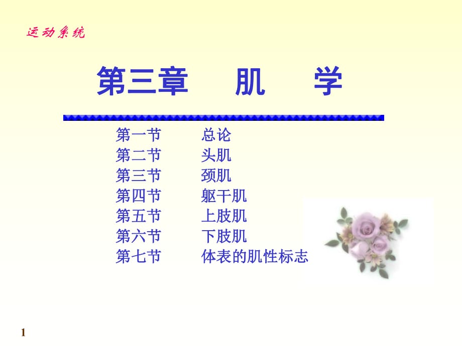 《運(yùn)動解剖學(xué)》第6次課：肌學(xué)課件.ppt_第1頁