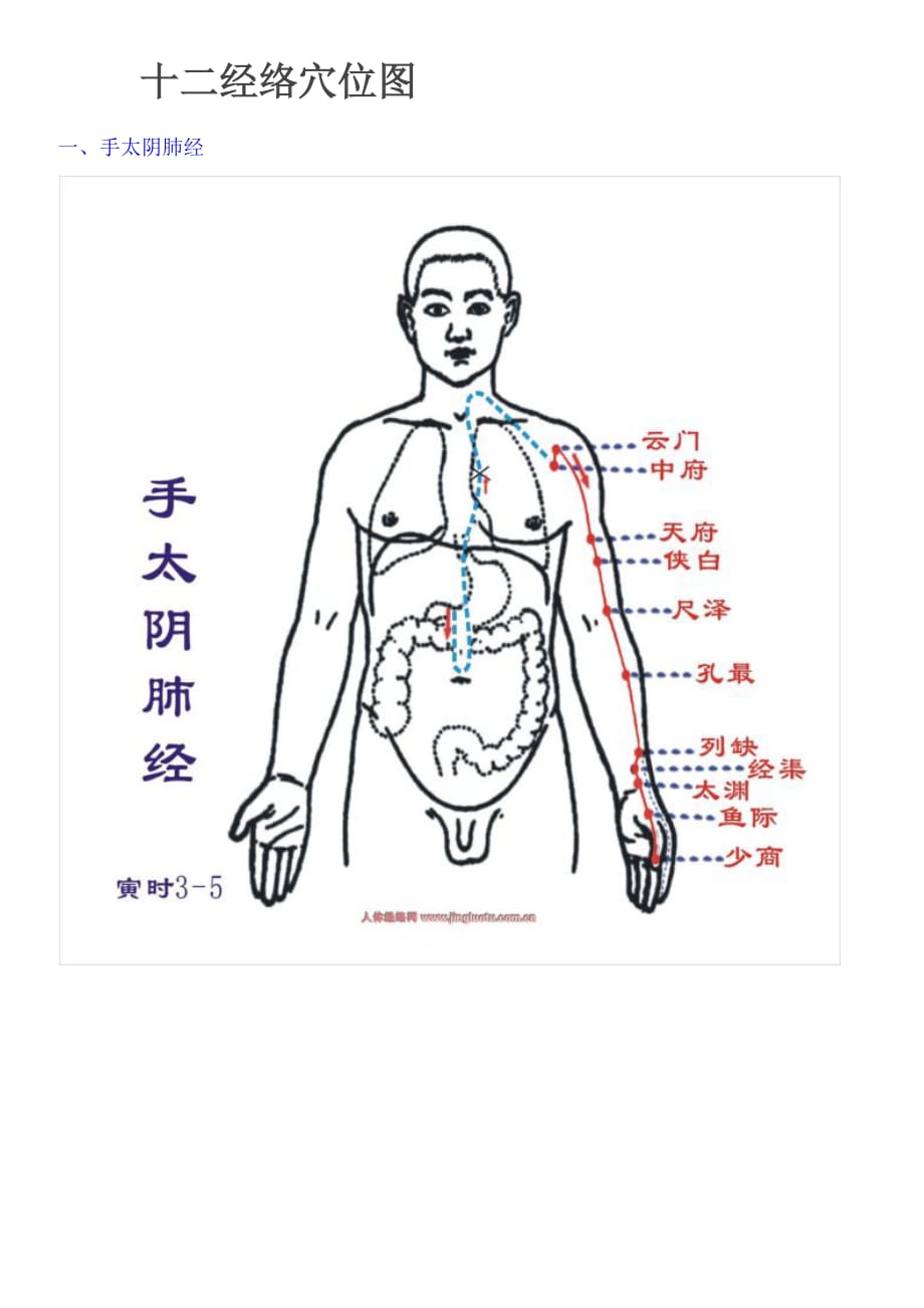 十二经络穴位图.docx_第1页