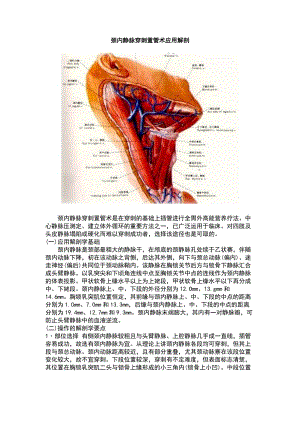 颈内静脉解剖.docx