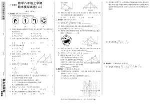 RJ初中《期末模擬考試題》八年級(jí)上冊(cè)數(shù)學(xué)模擬試卷測(cè)試題2人教版