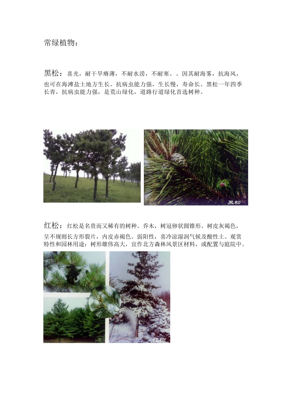 北方常用園林植物匯總.doc_第1頁