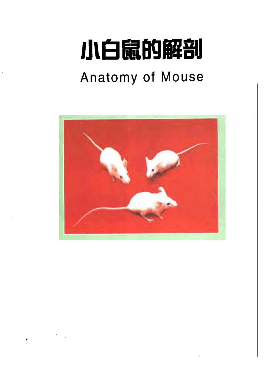 超清小鼠的解剖图谱.pdf_第1页