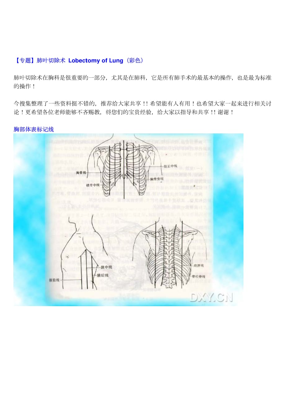肺叶切除术解剖及步骤.pdf_第1页