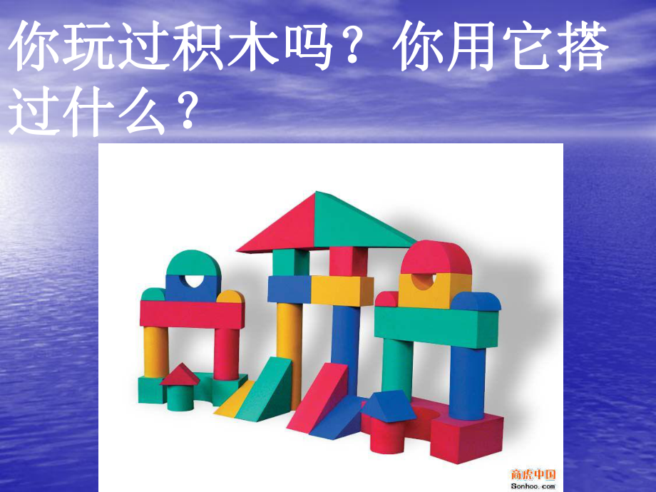 搭建生命體的積木 課件.ppt_第1頁