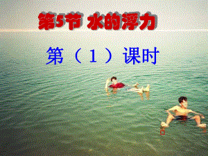 《水的浮力》29100張浙教版八年級(jí)上課件.ppt