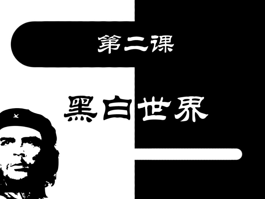 湘教版初中美術(shù)七年級(jí)下冊(cè)第二課《黑白世界》課件.ppt_第1頁(yè)