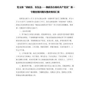 黨支部“講政治、有信念——做政治合格的共產黨員”第一專題查擺問題及整改情況匯報.docx