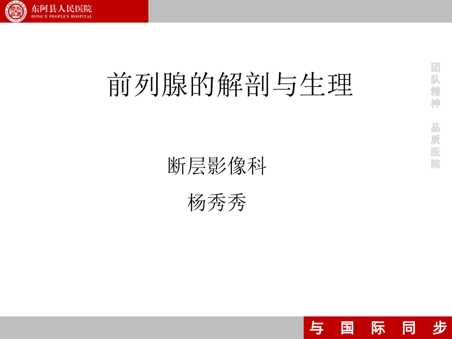 前列腺的解剖和生理课件.ppt_第1页