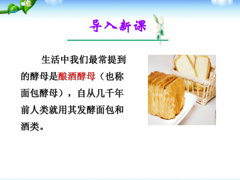 酵母細胞的固定化 課件.ppt_第1頁