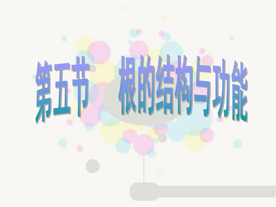 根的結(jié)構(gòu)和功能課件.ppt_第1頁