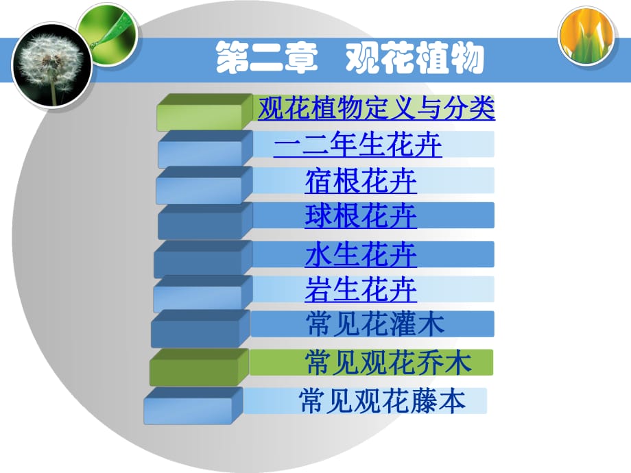 常見(jiàn)觀花喬木課件.ppt_第1頁(yè)