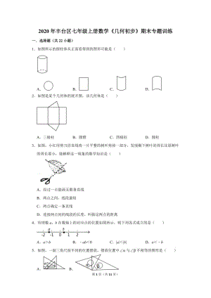 七年級上冊數(shù)學《幾何初步》期末專題訓練2試題2020年豐臺區(qū)試題