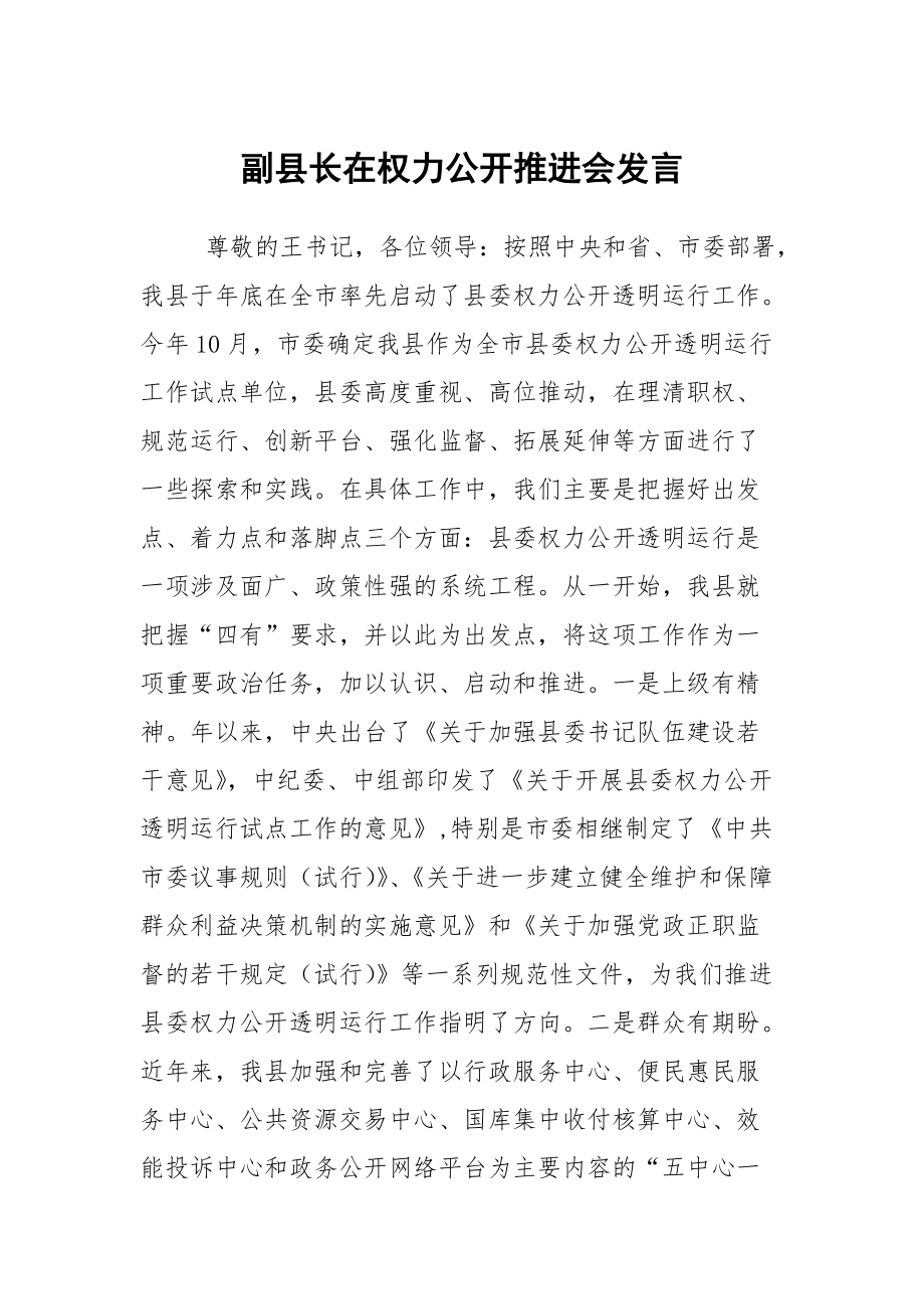 副县长在权力公开推进会发言_第1页