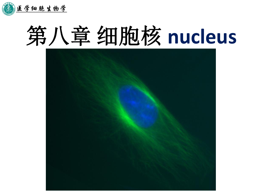 第八章 細(xì)胞核課件.ppt_第1頁