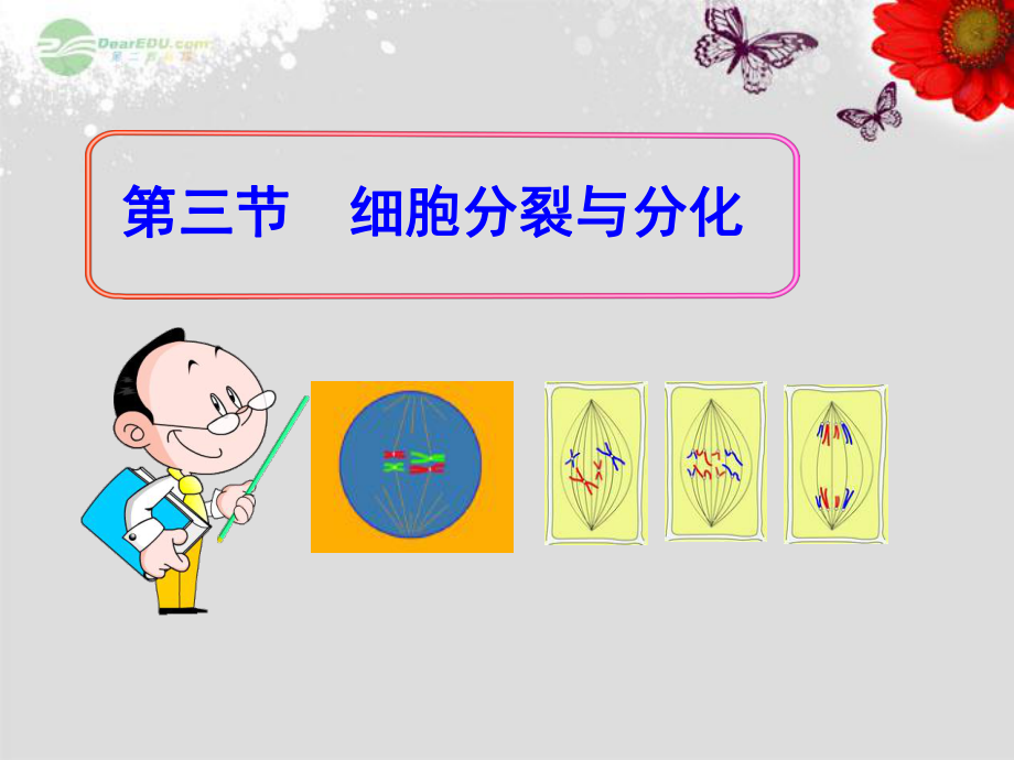 第三節(jié) 細(xì)胞分裂與分化 蘇教版課件.ppt_第1頁(yè)