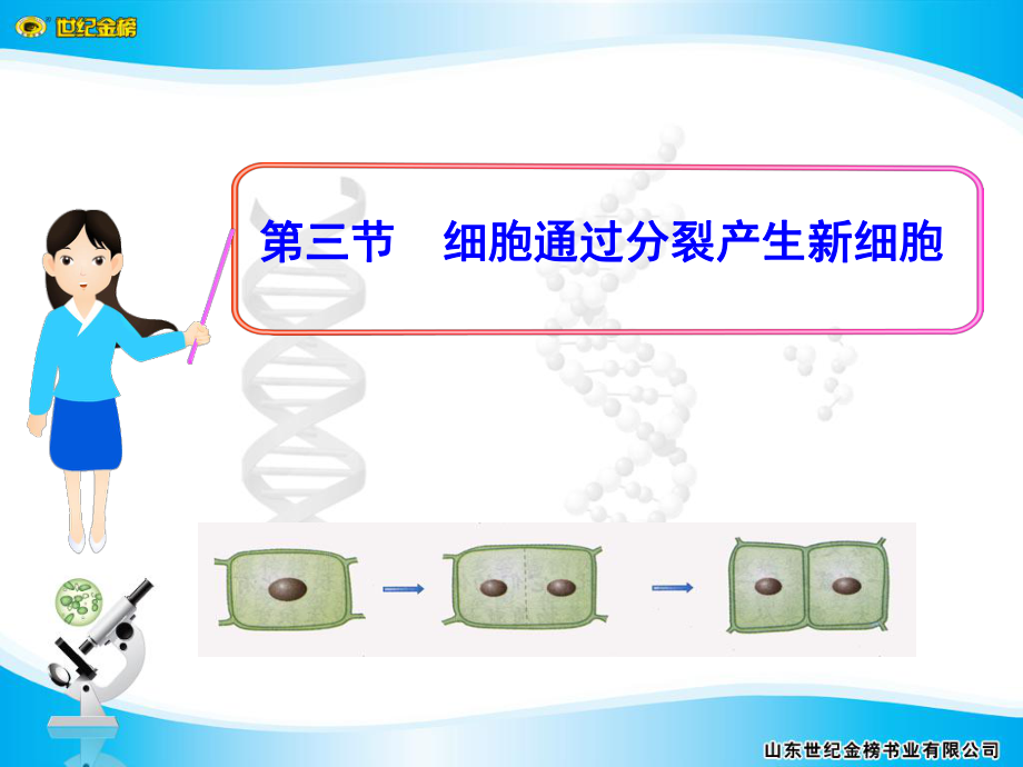 第三節(jié) 細(xì)胞通過分裂產(chǎn)生新細(xì)胞課件.ppt_第1頁