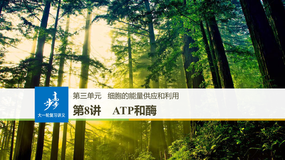 生物高三一輪復習《酶與ATP》課件.pptx_第1頁