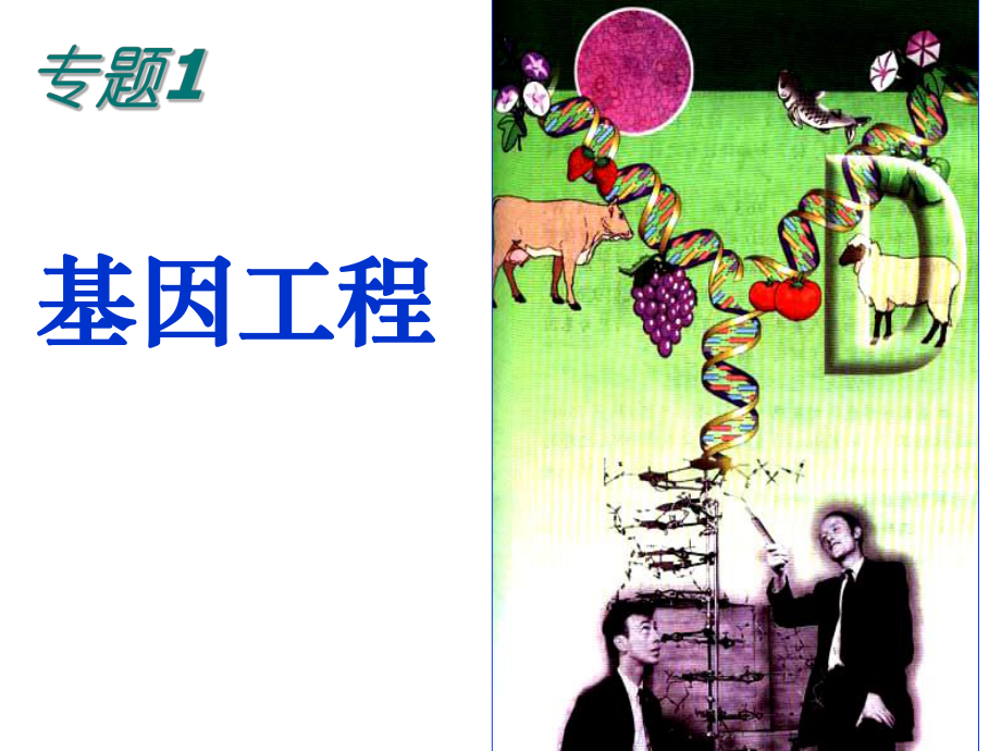 生物：11《DNA重组技术的基本工具》课件.ppt_第1页