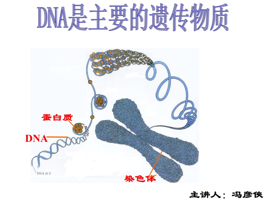 肺炎雙球菌轉(zhuǎn)化實驗課件.ppt_第1頁