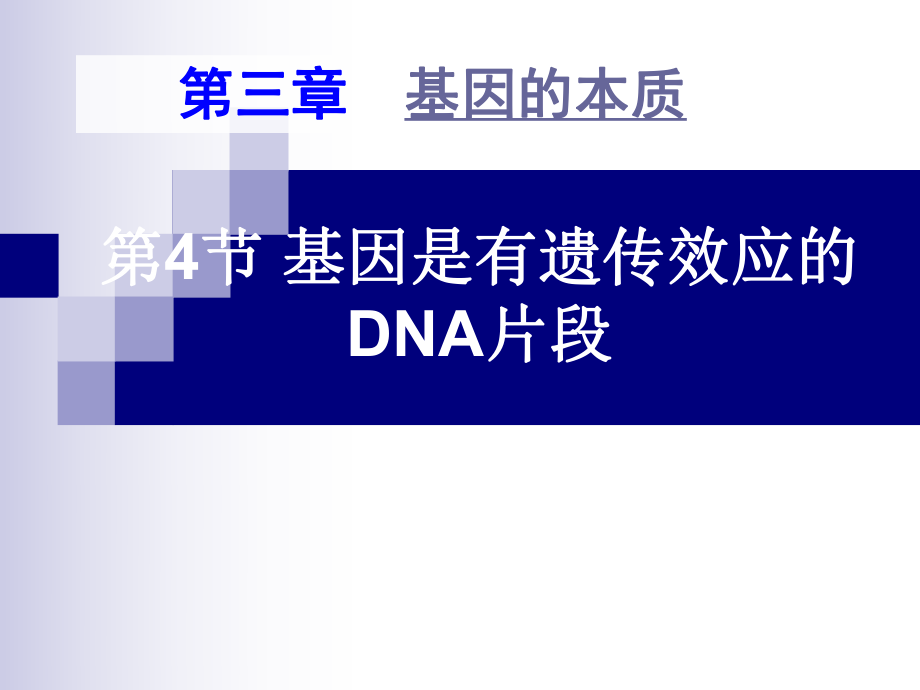 基因是有遗传效应的DNA片段 上课实用课件.ppt_第1页