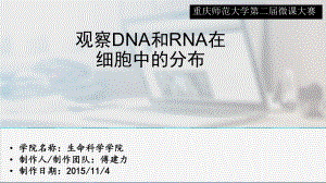 DNA和RNA在細(xì)胞中的分布 說課課件.pptx