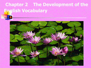 The Development of the English Vocabulary課件.ppt