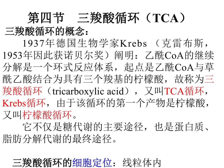 三羧酸循环TCA课件.ppt_第1页