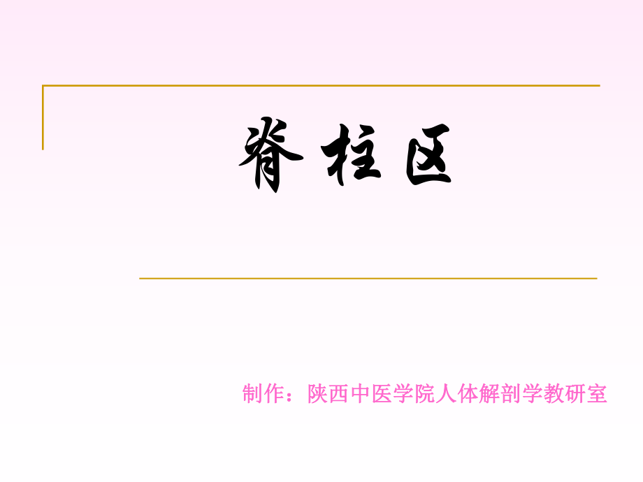 脊柱区解剖图课件.ppt_第1页