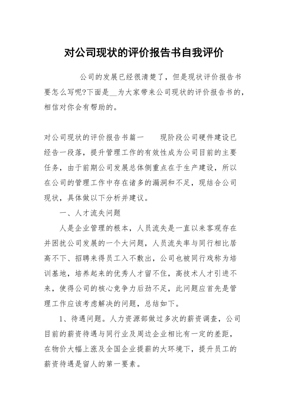 对公司现状的评价报告书_第1页