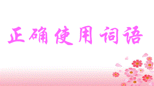 《正確使用詞語》PPT課件