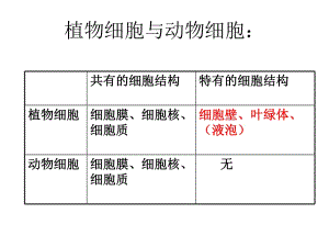 《細(xì)胞分裂與分化》PPT課件