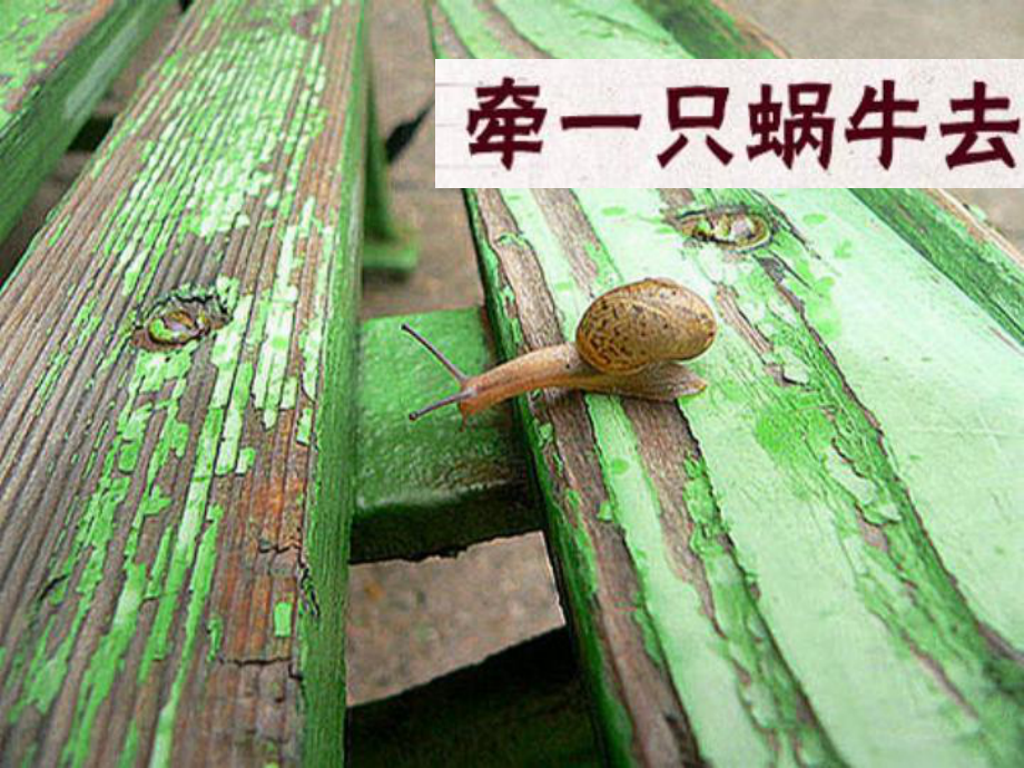 牵着蜗牛去散步-致幼儿园教师_第1页