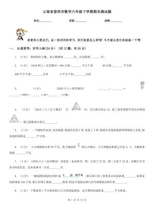 云南省普洱市数学六年级下学期期末测试题