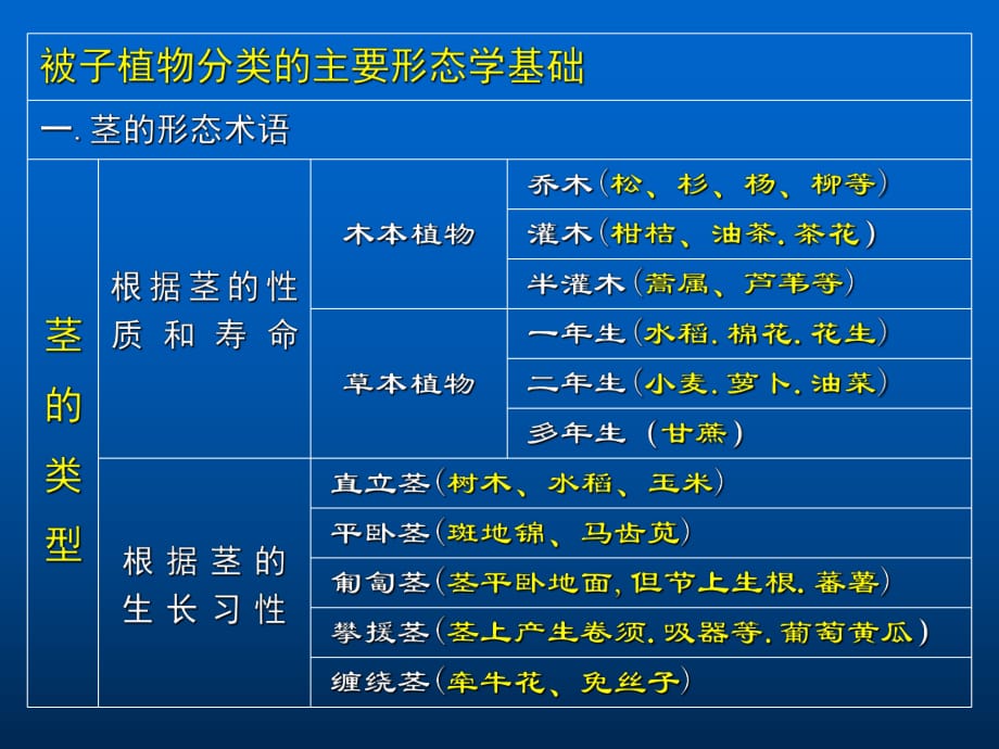 被子植物分类的主要形态学基础_第1页