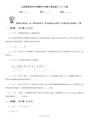 山西省阳泉市小学数学六年级下册总复习（1）A卷