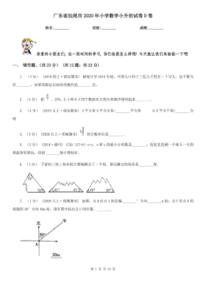 广东省汕尾市2020年小学数学小升初试卷D卷