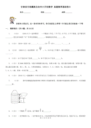 甘肅省甘南藏族自治州小升初數(shù)學(xué) 真題集萃基礎(chǔ)卷B