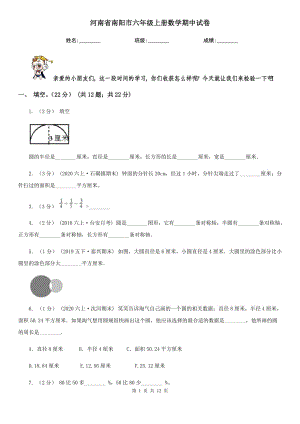 河南省南阳市六年级上册数学期中试卷