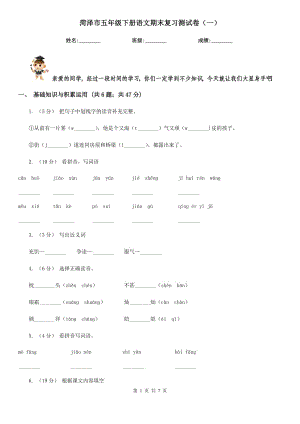 菏澤市五年級(jí)下冊(cè)語(yǔ)文期末復(fù)習(xí)測(cè)試卷（一）