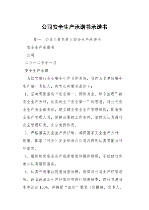 公司安全生產(chǎn)承諾書承諾書