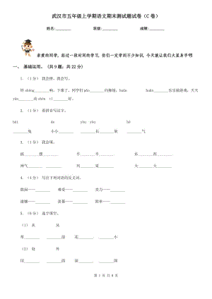 武汉市五年级上学期语文期末测试题试卷（C卷）