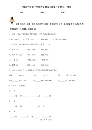 上海市六年级上学期语文期末专项复习专题01：拼音