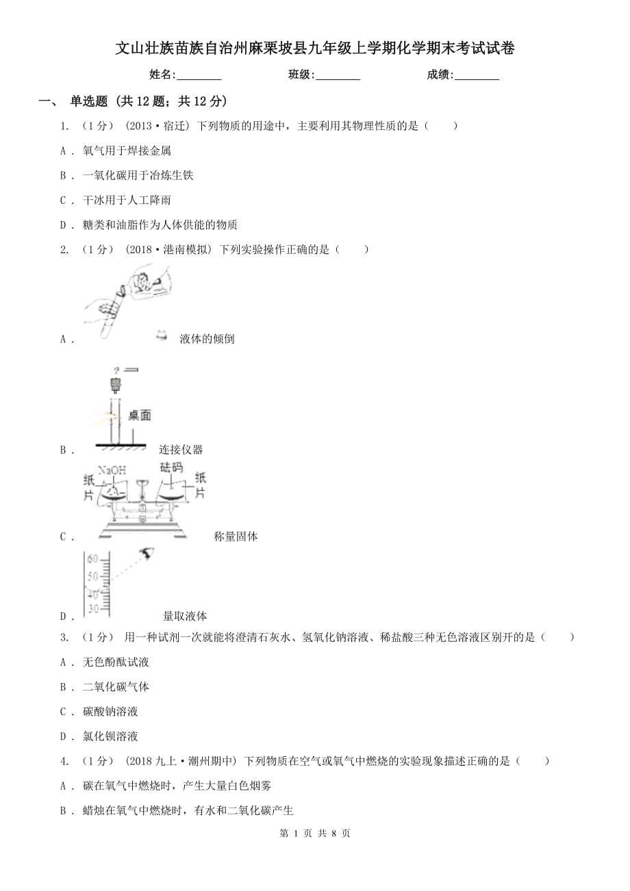 文山壮族苗族自治州麻栗坡县九年级上学期化学期末考试试卷_第1页