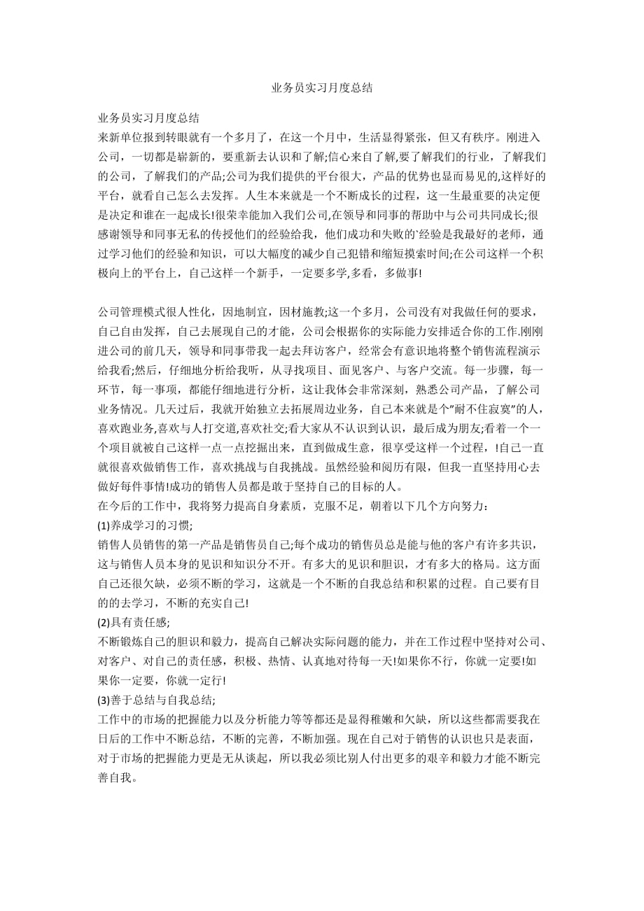 业务员实习月度总结_第1页